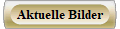 Aktuelle Bilder
