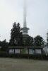 Ochs_003